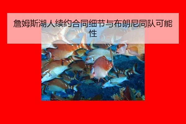zhan-mu-si-hu-ren-xu-yue-he-tong-xi-jie-yu-bu-lang-ni-tong-dui-ke-neng-xing-3-707.jpg